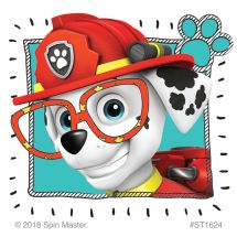 PAW Patrol Vision Stickers