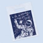 Space Vision Clear Bags