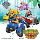 PAW Patrol Dino Rescue Stickers